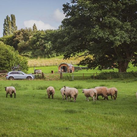 Hidden Wood Glamping And The Hideaway Cabin Warminster Exterior foto