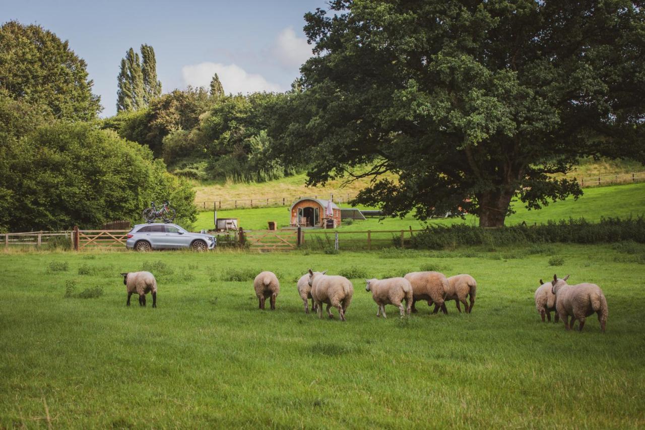 Hidden Wood Glamping And The Hideaway Cabin Warminster Exterior foto